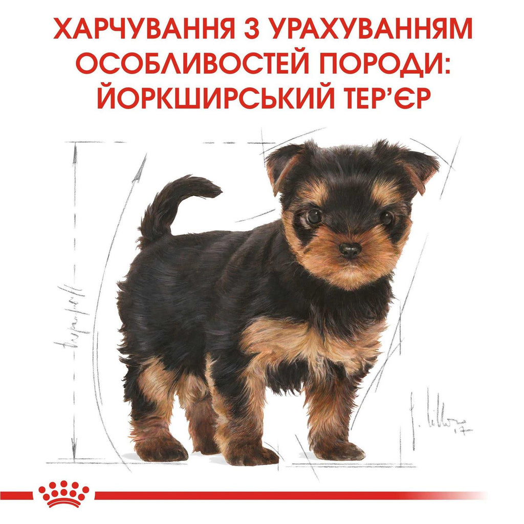 Dog Food Yorkshire Terrier Junior Dry Mix 1.5kg V190