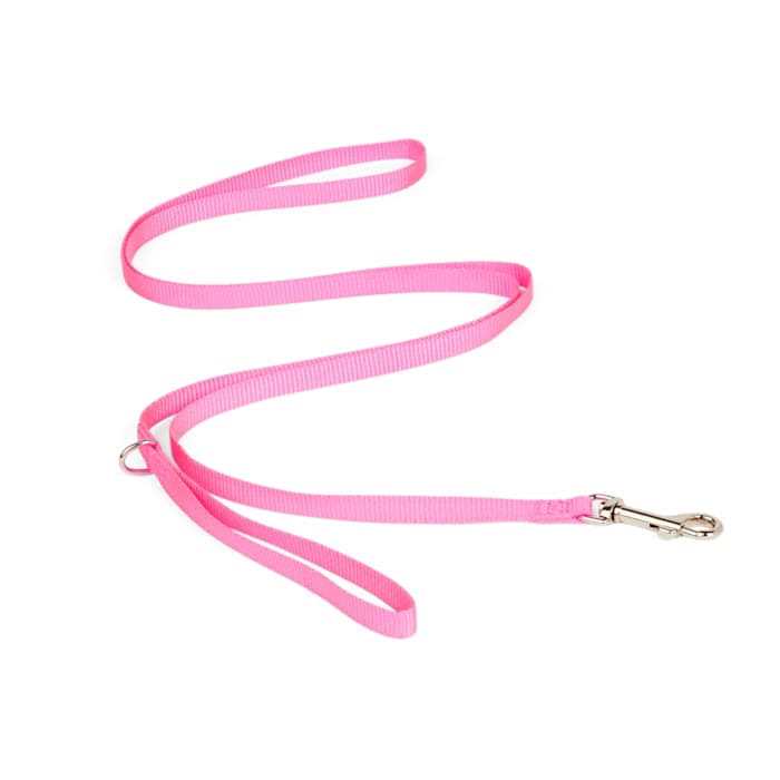 Dog Lead C979273