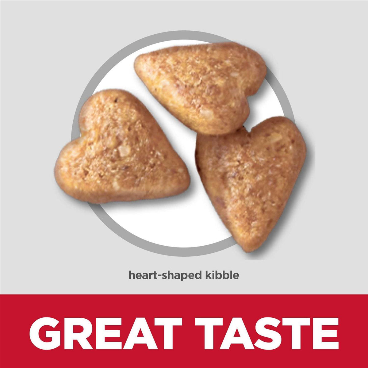Chicken Recipe Dry Dog Food S937916