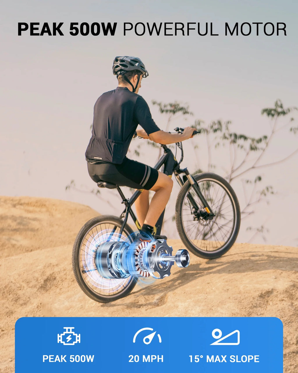 350W 26 Electric Mountain Bike with Removable Battery E22150