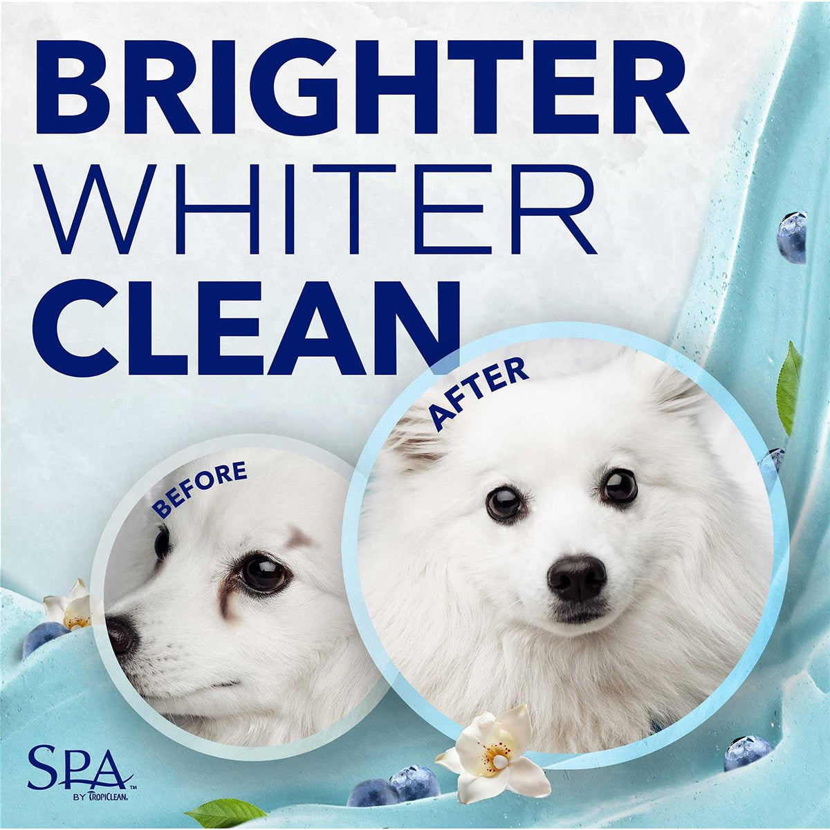 Tear Stain Remover Z28381