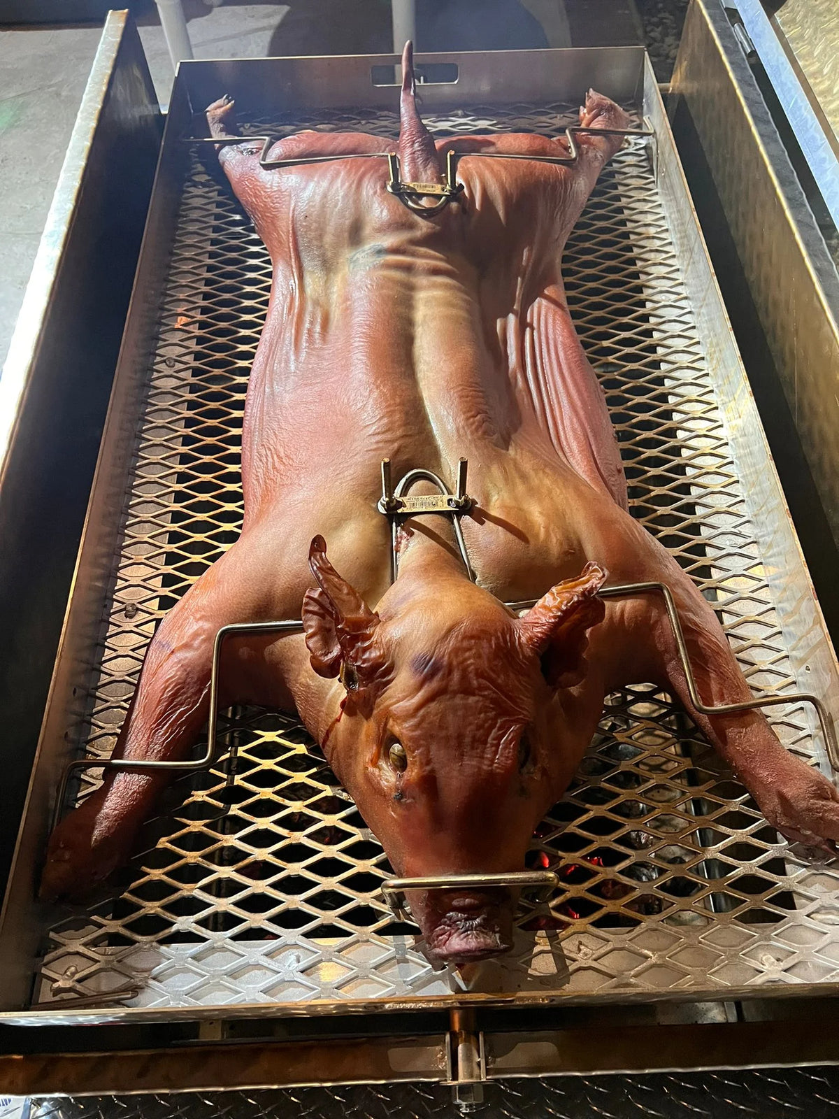 Cuban Pork Rotisserie Box V8483