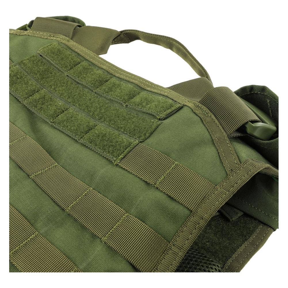 Olive Drab Plate Carrier I5561