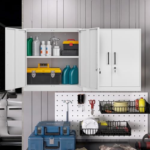 Metal Wall Cabinet with Doors and Adjustable Shelf E170682