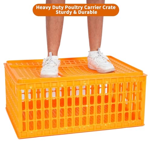 Heavy Duty Plastic Poultry Carrier Crate X707166