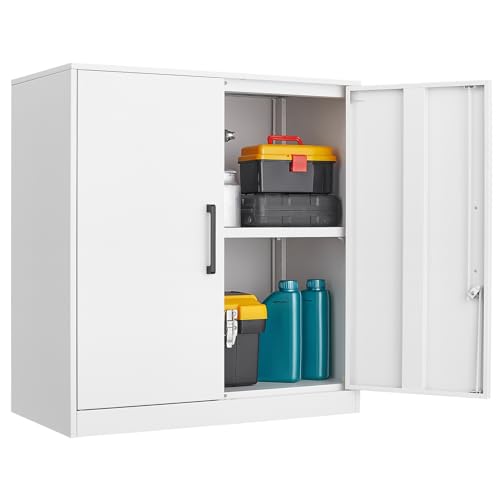 Metal Wall Cabinet with Doors and Adjustable Shelf E170682