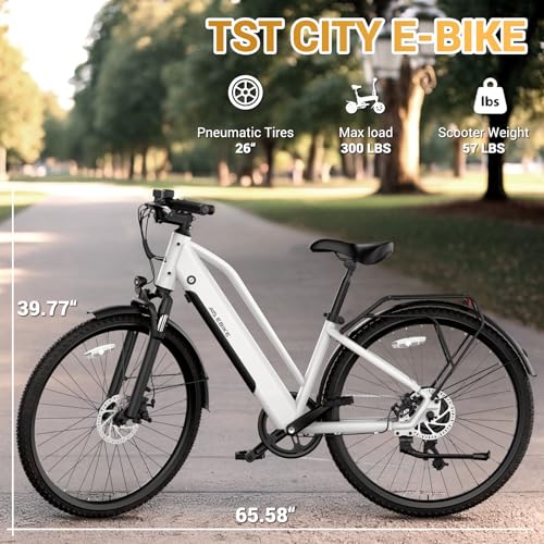 26" Tire Electric Bicycle with 360Wh Removable Battery P4706