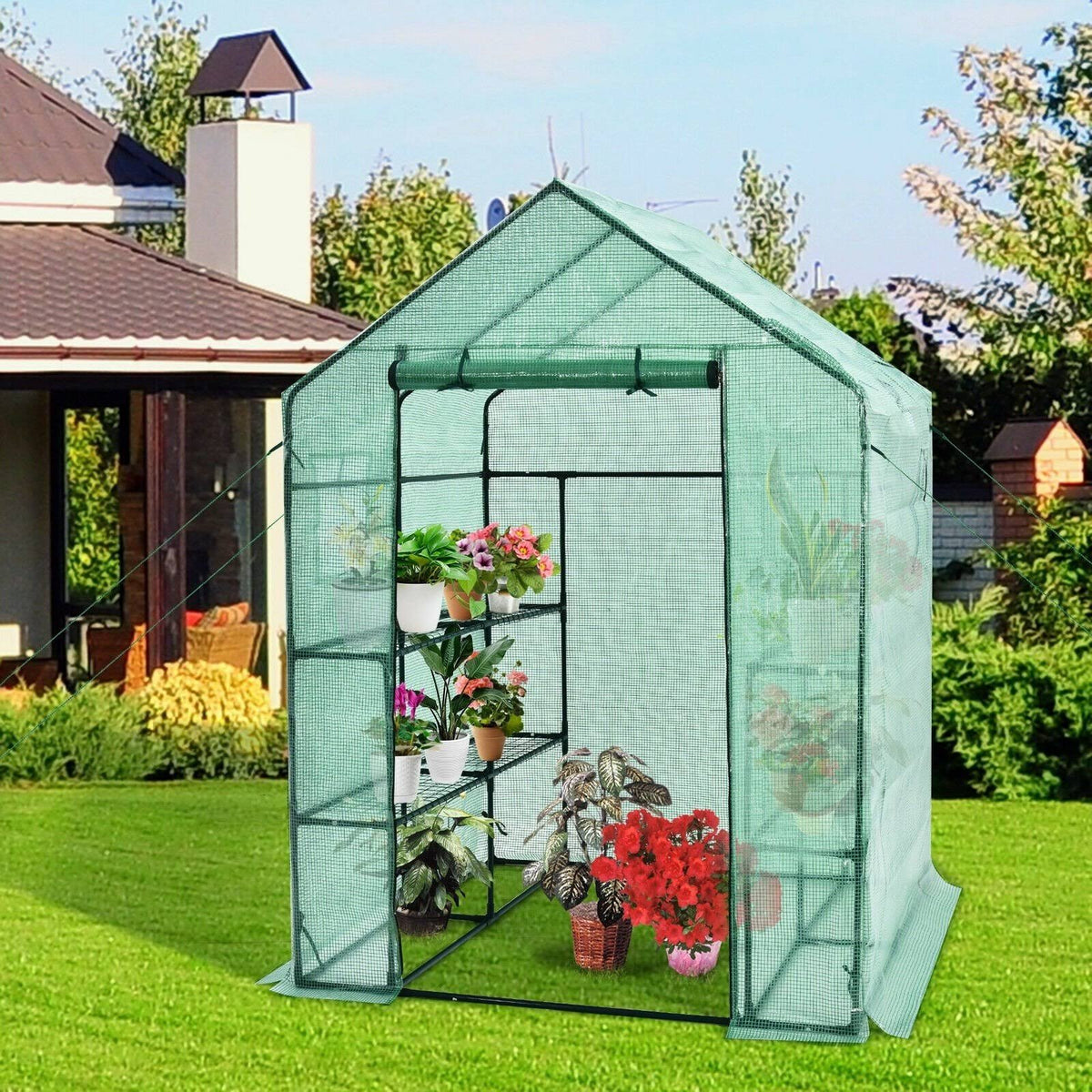 Walk-In Greenhouse with Observation Windows I329