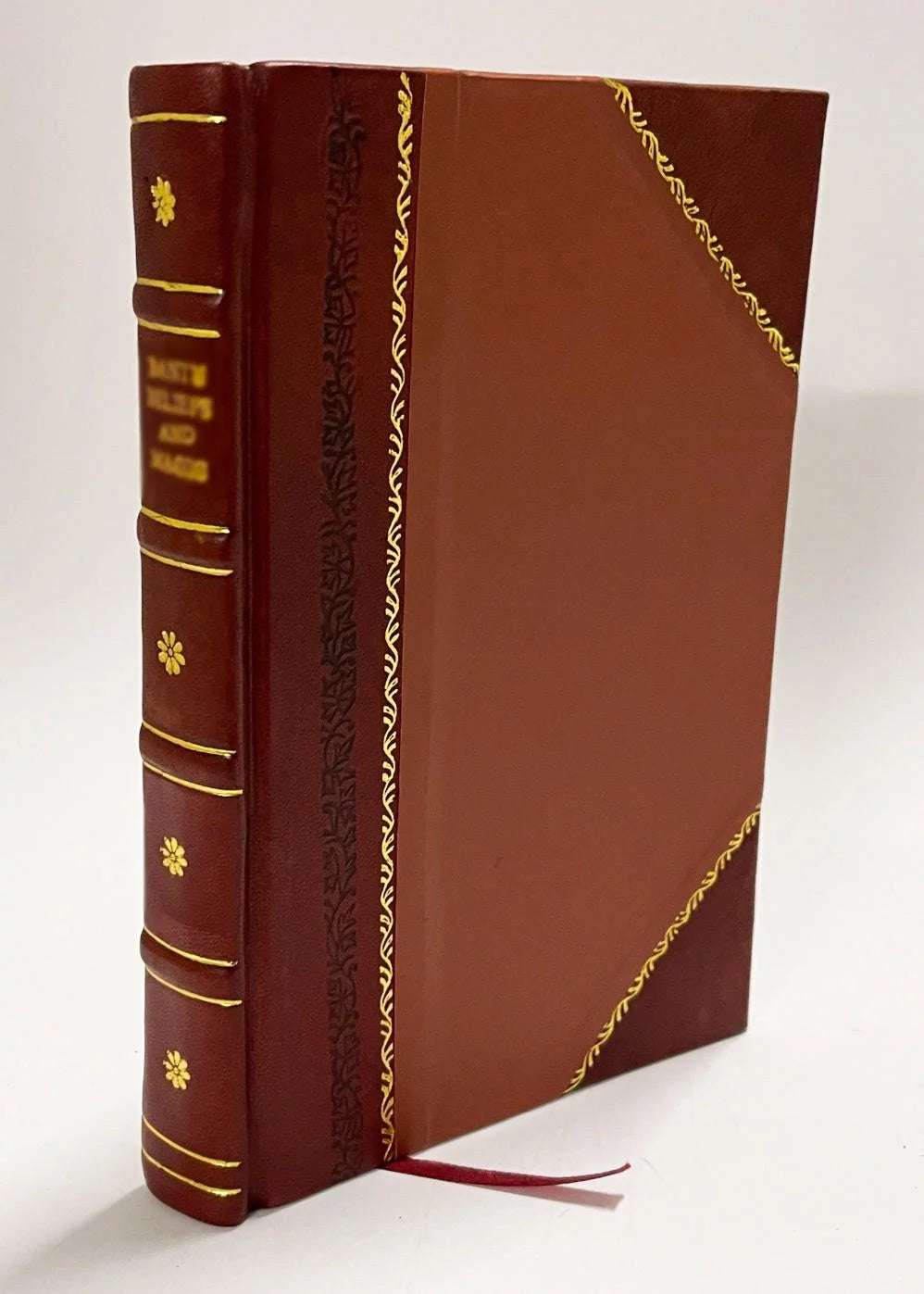 Dictionnaire Abrege Des Hommes Celebres De L'Antiquite Et Des Temps Modernes Leather Bound J592