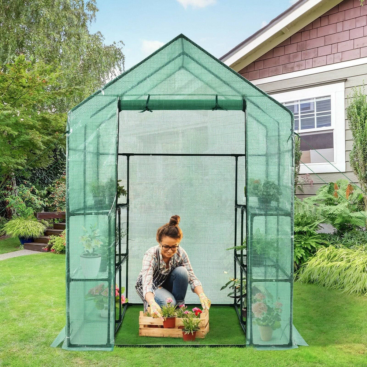Walk-In Greenhouse with Observation Windows I329