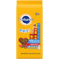 Dry Dog Food Vegetable Flavor B6207