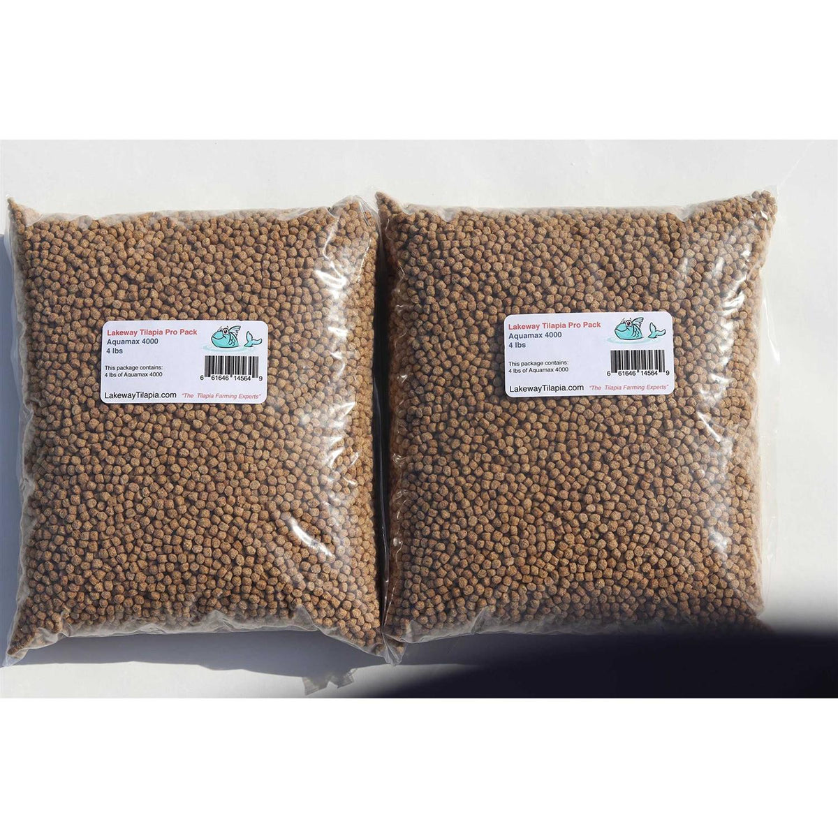 Tilapia Catfish Food B69754