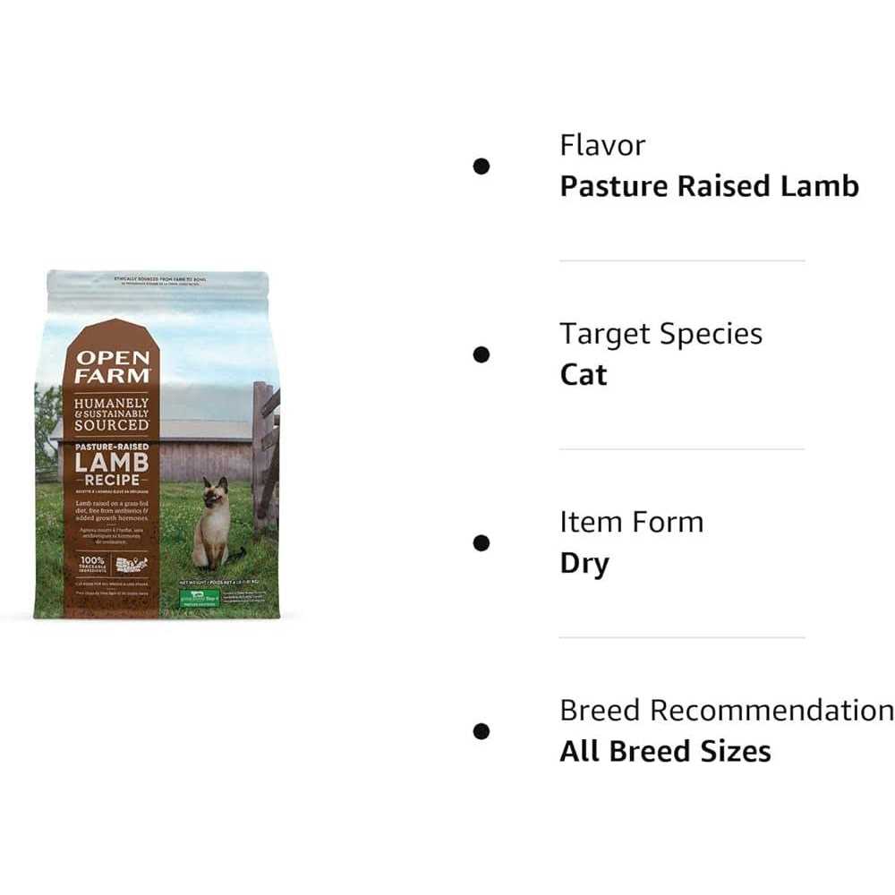 Grain Free Lamb Recipe Dry Cat Food O6836