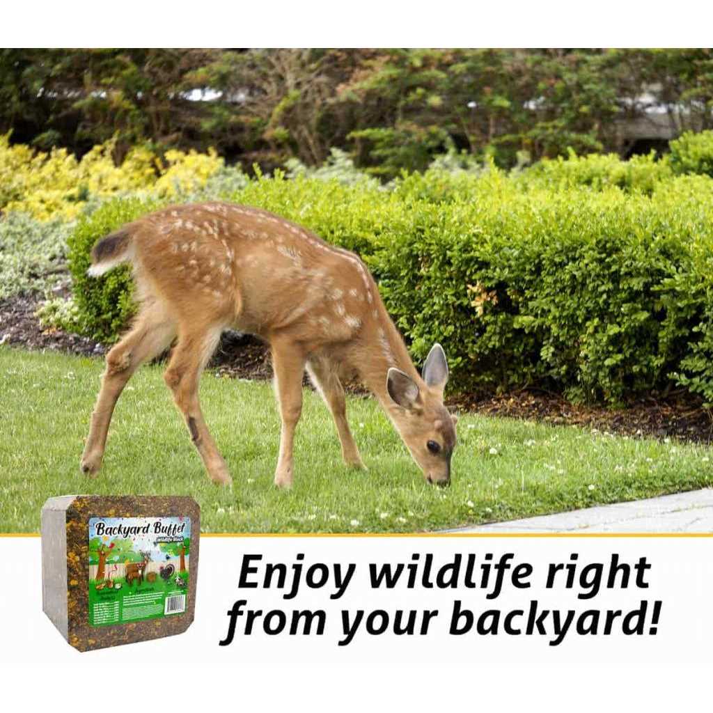 Backyard Buffet Wildlife Treat W6256