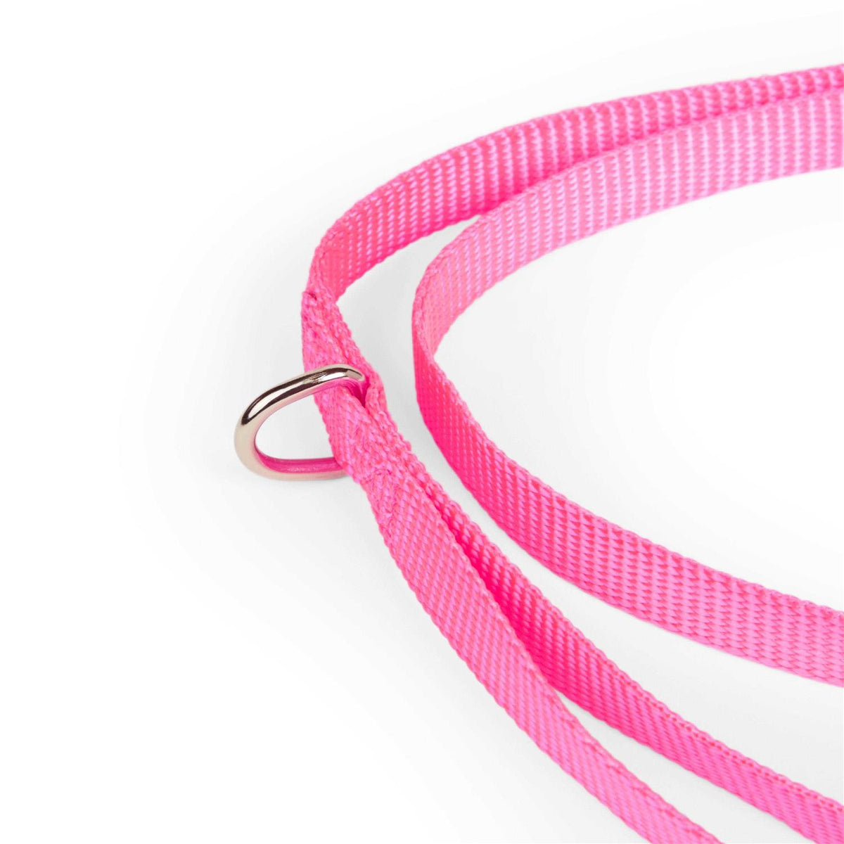 Dog Lead C979273