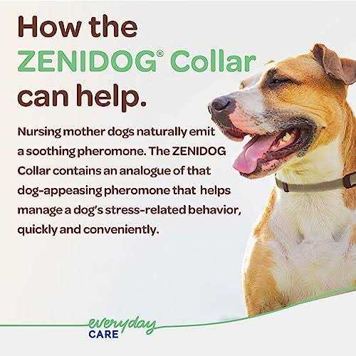 Long-acting Collar Medium/large A658757