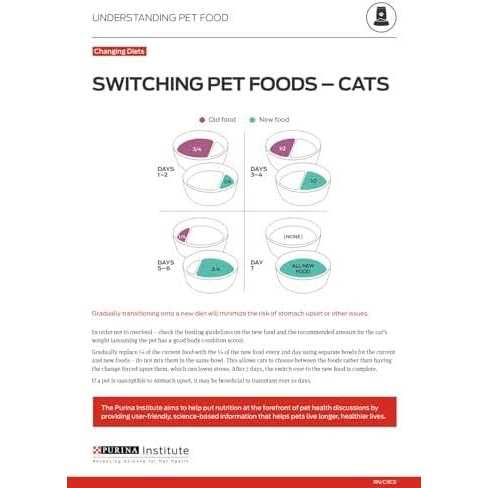 Dry Kitten Food J907