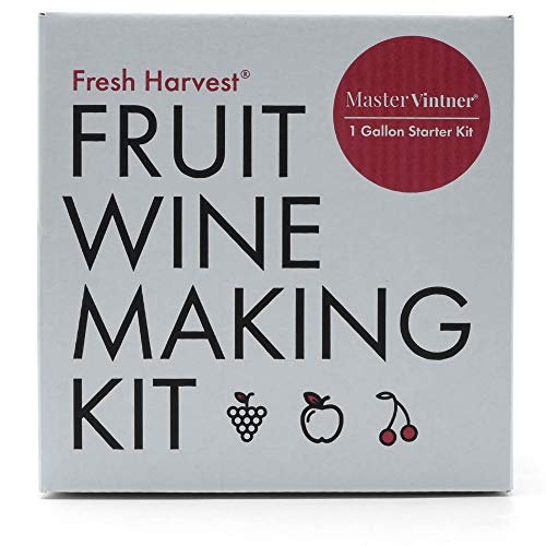 One Gallon Fruit Wine Making Kit B771113