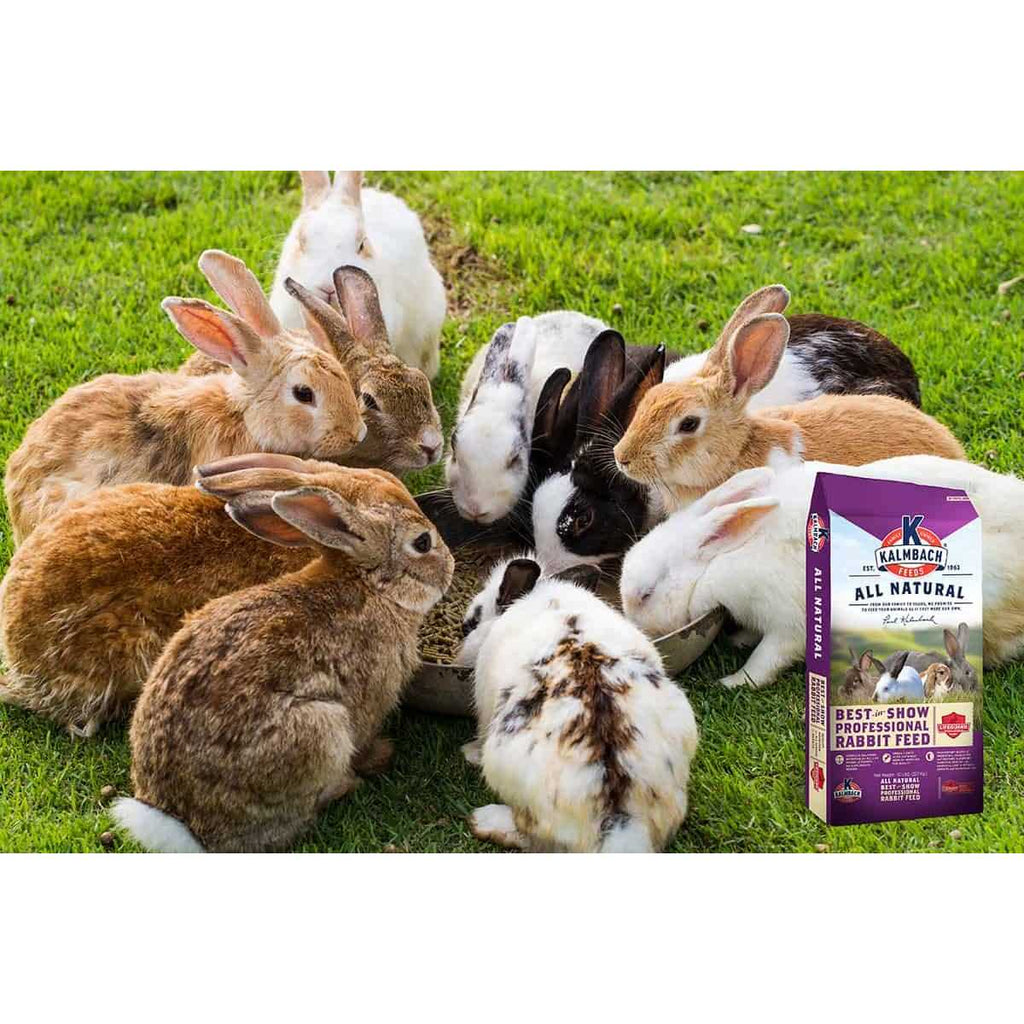 50 lb 18% Rabbit Feed N2766