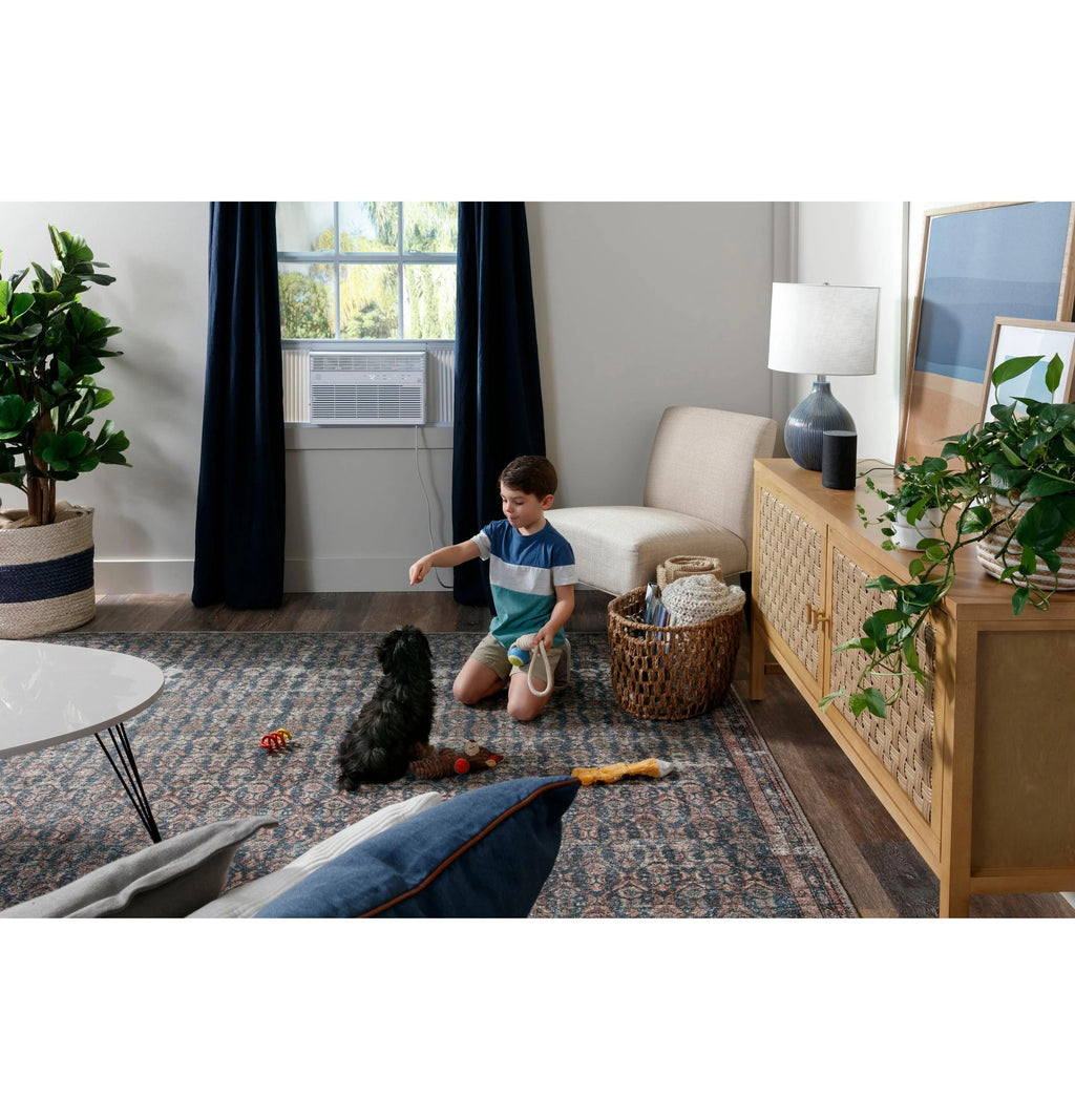 8000 BTU White Smart Window Air Conditioner G910