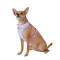 Dog Harness C145115