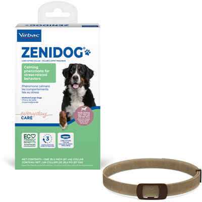 Long-acting Collar Medium/large A658757