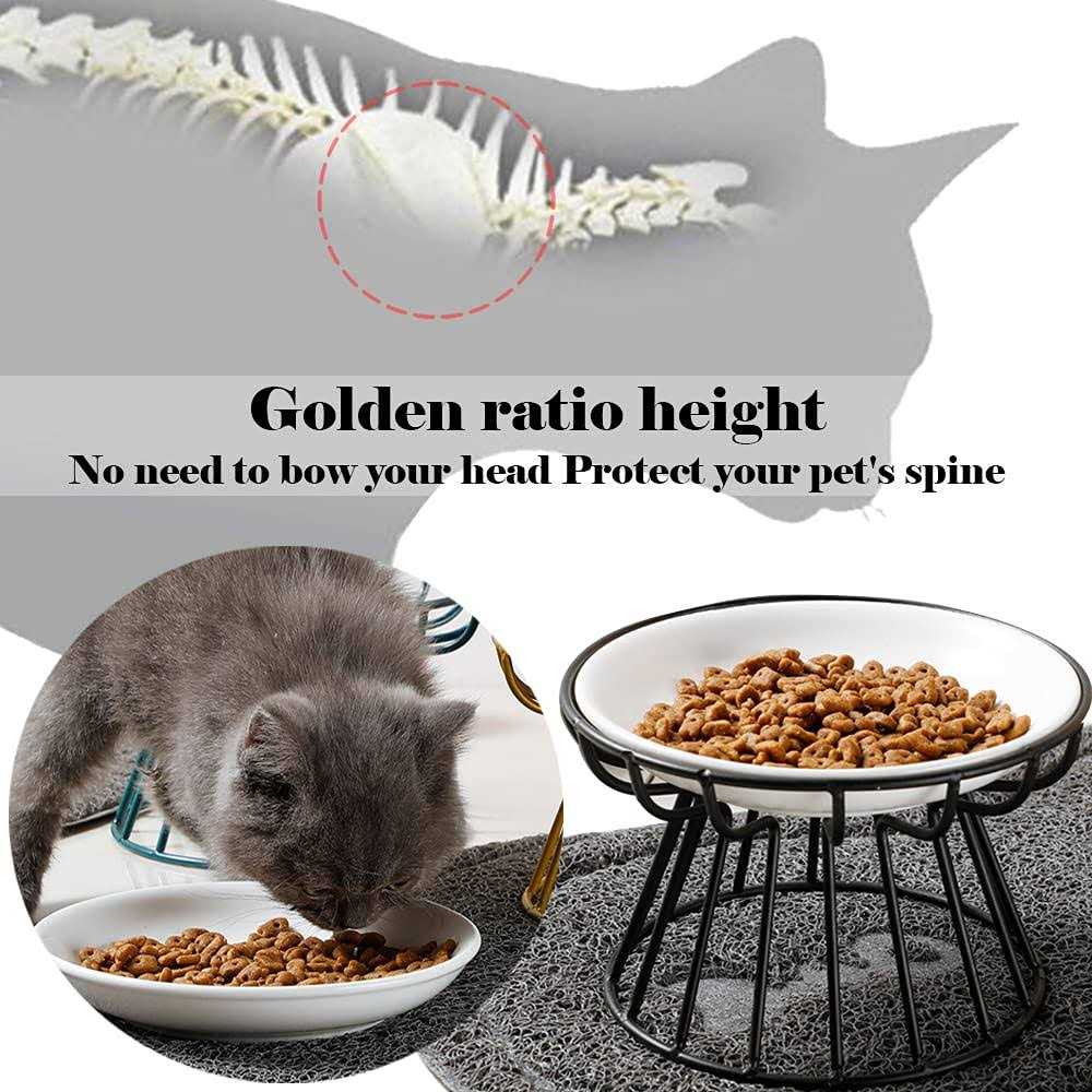 Elevated Ceramic Cat Bowl with Metal Stand E921