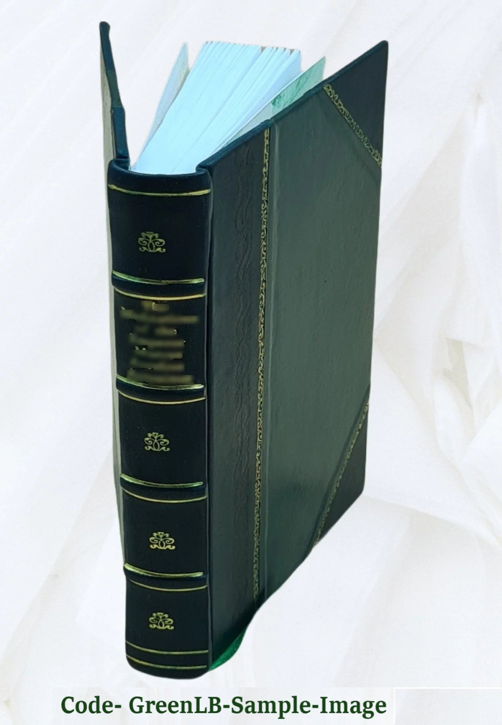 Leather Bound Book K550731
