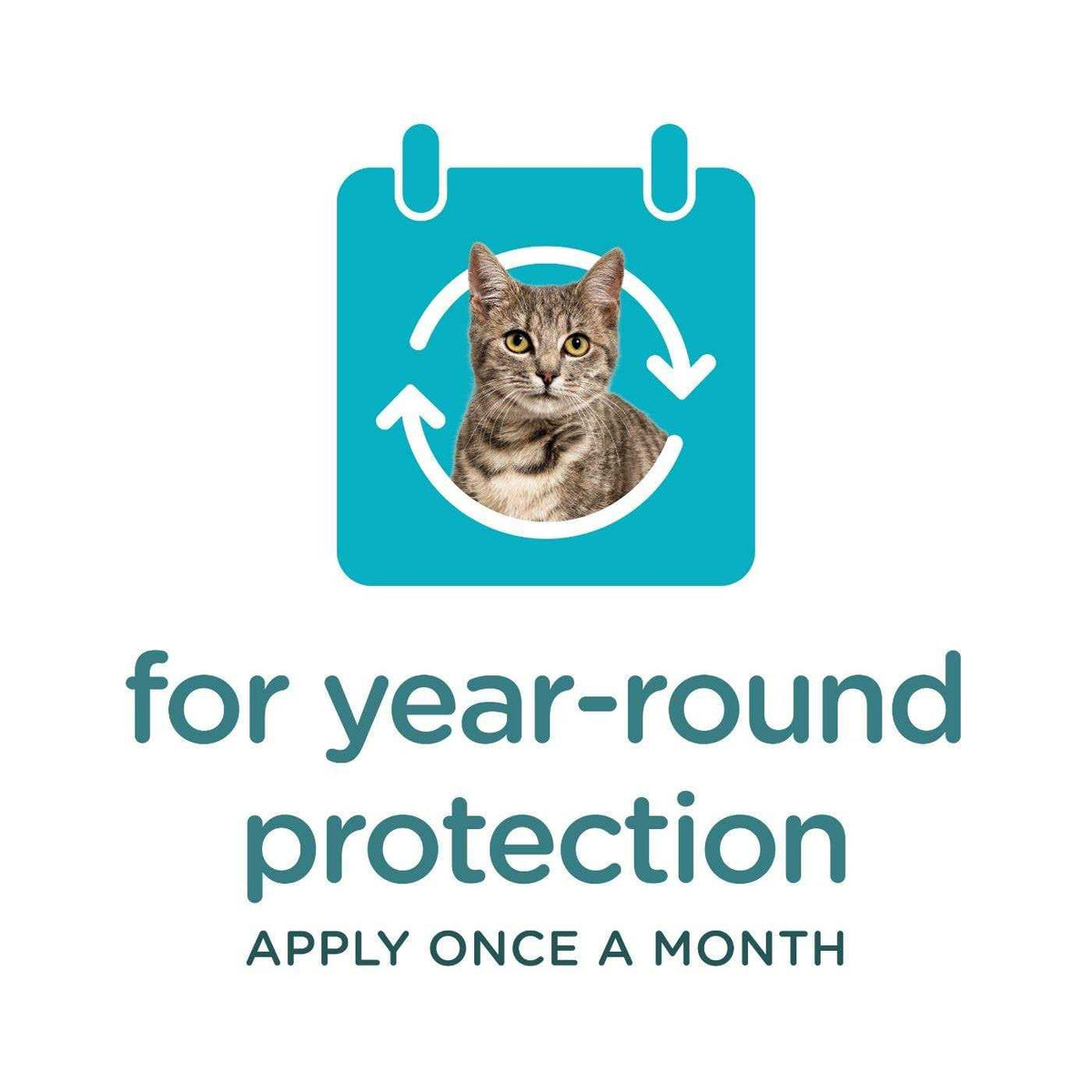 Flea and Tick Topical for Cats I840824